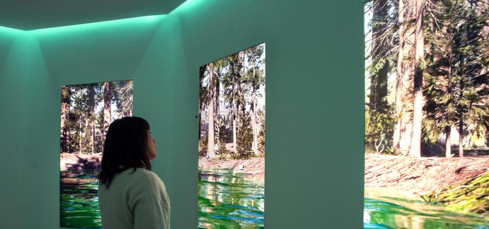 A probably female read person stands in an interior room in front of three screens that are arranged like windows and show a CGI forest with a lake. The indirect room light colors the walls green 